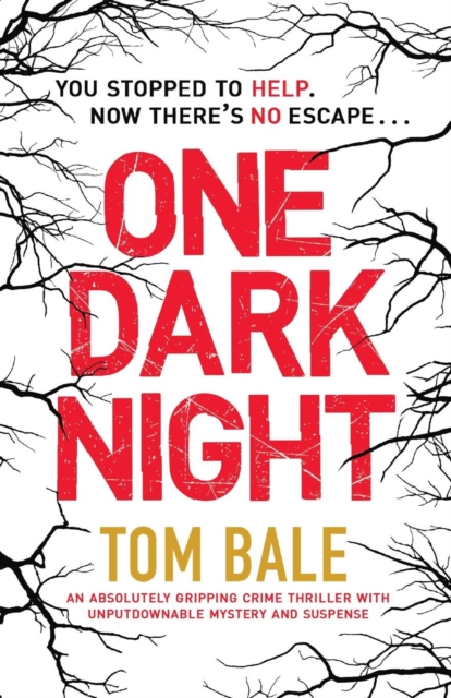 One Dark Night, Paperback / softback Book