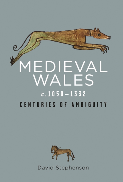 Medieval Wales c.1050-1332 : Centuries of Ambiguity, PDF eBook