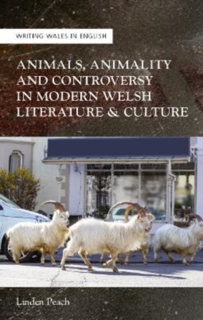 Animals, Animality and Controversy in Modern Welsh Literature and Culture, Paperback / softback Book