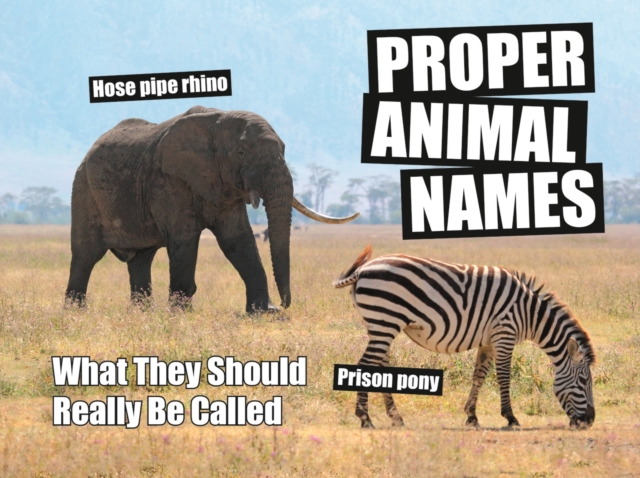 Proper Animal Names : What They Should Really Be Called, Hardback Book
