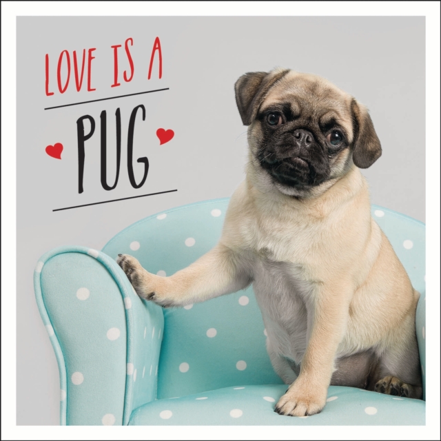 Love is a Pug : A Pugtastic Celebration of The World's Cutest Dogs, Hardback Book