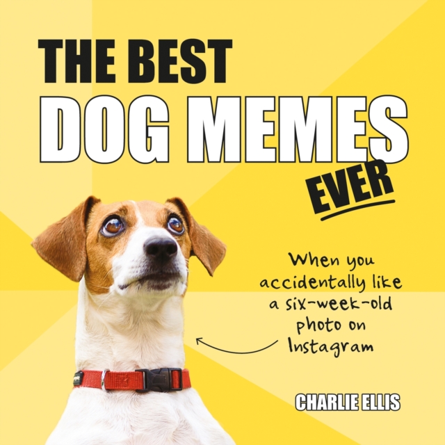 The Best Dog Memes Ever : The Funniest Relatable Memes as Told by Dogs, Hardback Book