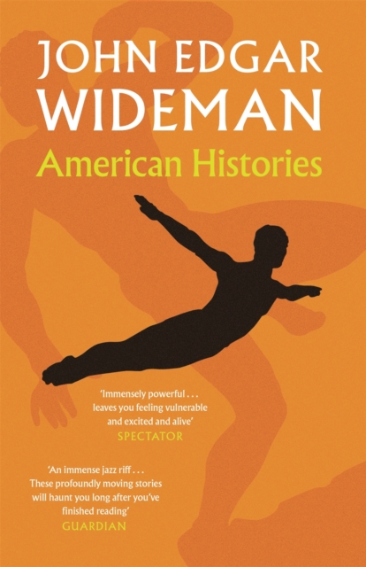 American Histories, EPUB eBook