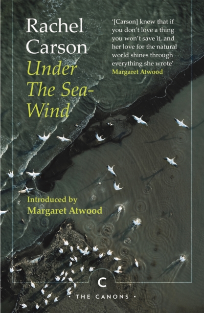 Under the Sea-Wind, EPUB eBook
