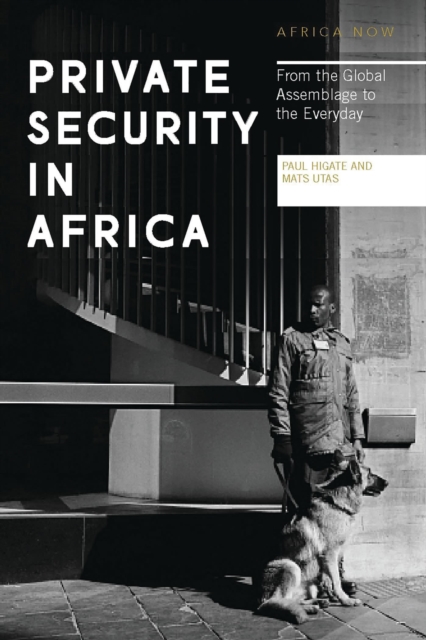 Private Security in Africa : From the Global Assemblage to the Everyday, Paperback / softback Book