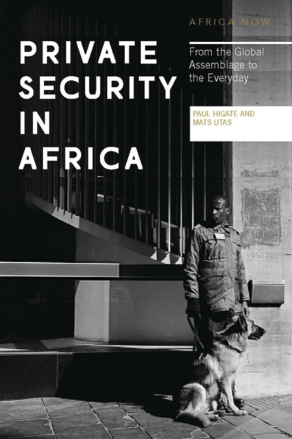 Private Security in Africa : From the Global Assemblage to the Everyday, EPUB eBook