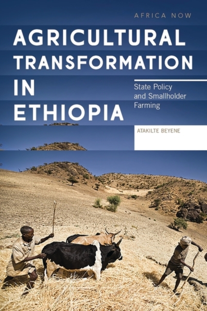 Agricultural Transformation in Ethiopia : State Policy and Smallholder Farming, PDF eBook