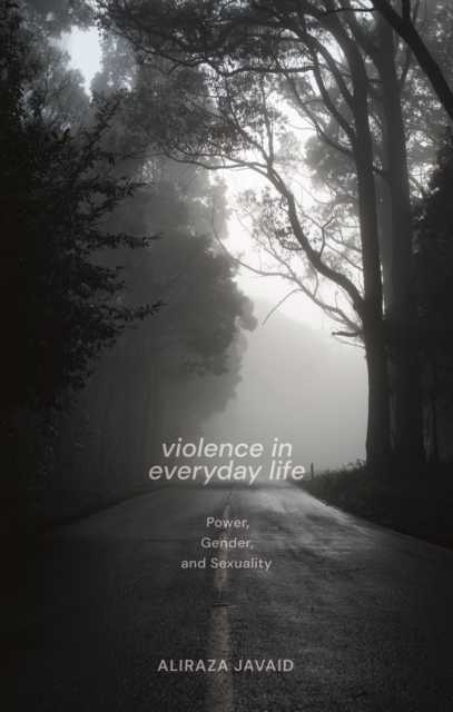 Violence in Everyday Life : Power, Gender and Sexuality, EPUB eBook