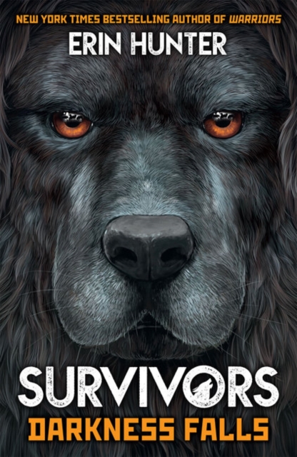 Survivors Book 3: Darkness Falls, Paperback / softback Book