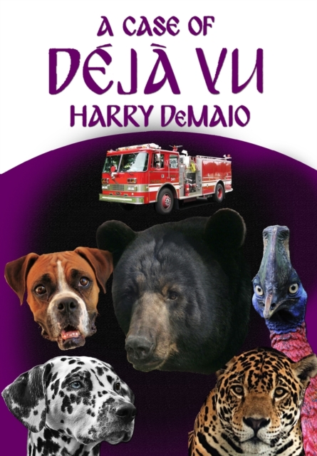 A Case of Deja Vu (Octavius Bear Book 13), Paperback / softback Book