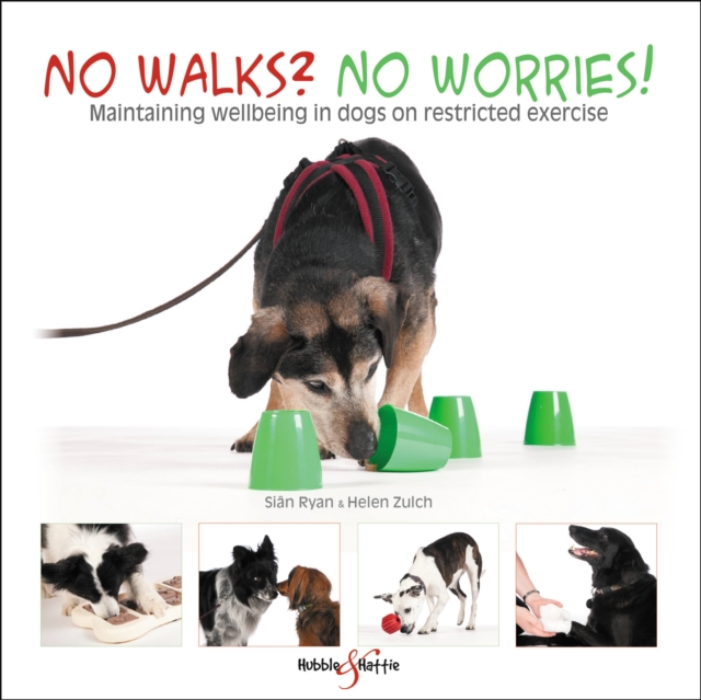 No walks? No worries! : Maintaining wellbeing in dogs on restricted exercise, Paperback / softback Book