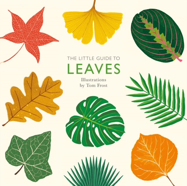 The Little Guide to Leaves, EPUB eBook