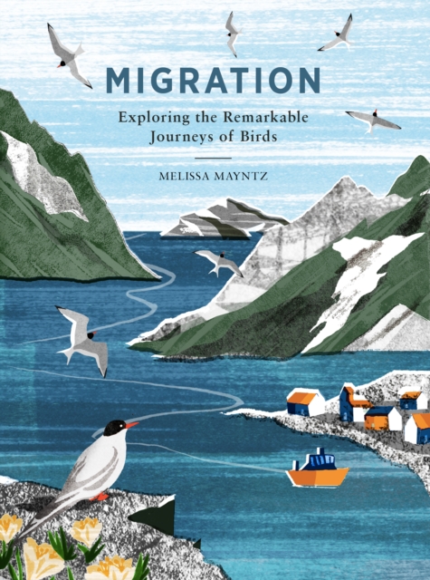 Migration : Exploring the Remarkable Journeys of Birds, Hardback Book