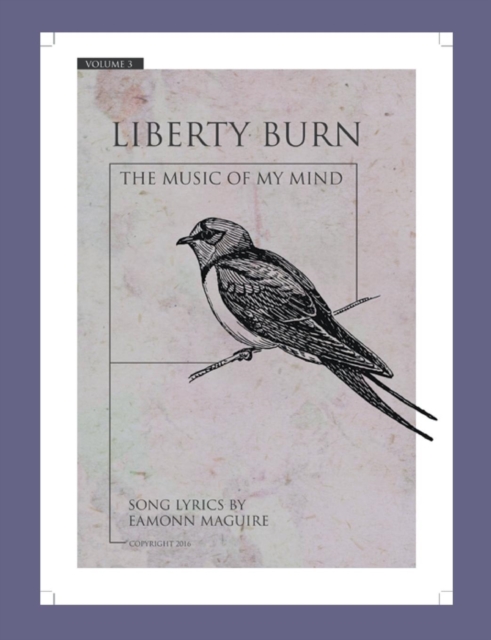 Liberty Burn, Paperback / softback Book