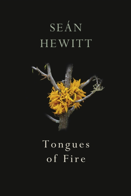 Tongues of Fire, Paperback / softback Book