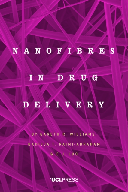 Nanofibres in Drug Delivery, EPUB eBook