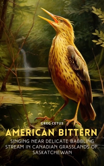 American Bittern Singing Near Delicate Babbling Stream in Canadian Grasslands of Saskatchewan, eAudiobook MP3 eaudioBook