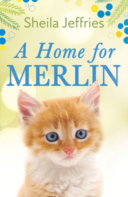 A Home for Merlin, Paperback / softback Book