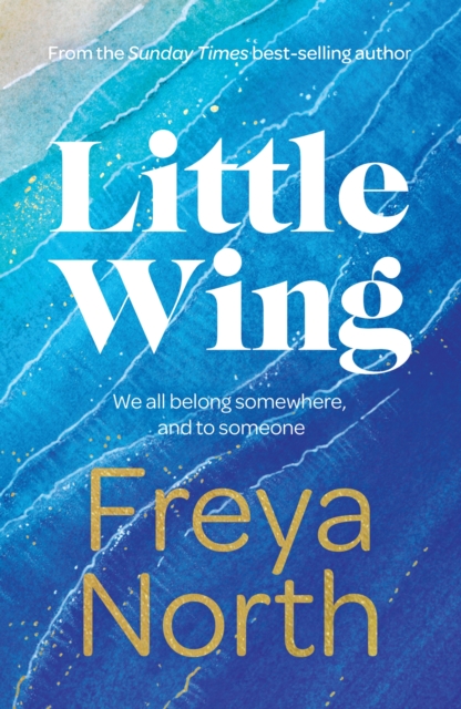 Little Wing : A beautifully written, emotional and heartwarming story, Hardback Book