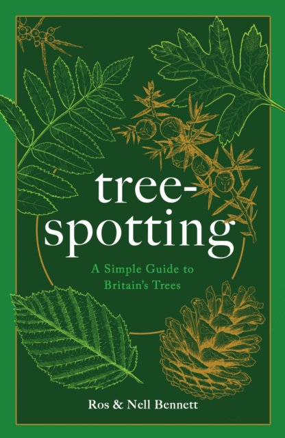 Tree-spotting : A Simple Guide to Britain's Trees, Hardback Book