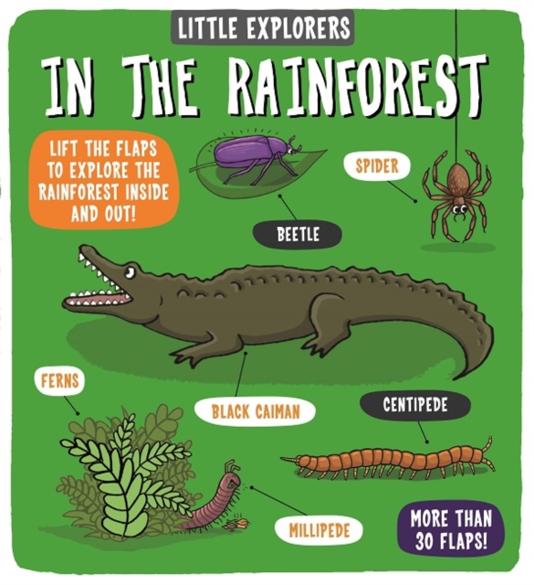 Little Explorers: In the Rainforest, Board book Book