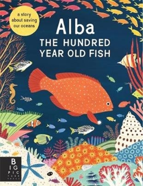 Alba the Hundred Year Old Fish, Paperback / softback Book