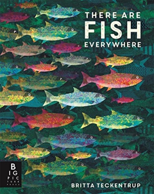 There are Fish Everywhere, Paperback / softback Book