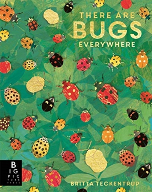 There are Bugs Everywhere, Paperback / softback Book