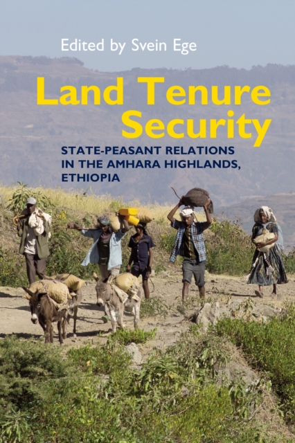 Land Tenure Security : State-peasant relations in the Amhara Highlands, Ethiopia, PDF eBook