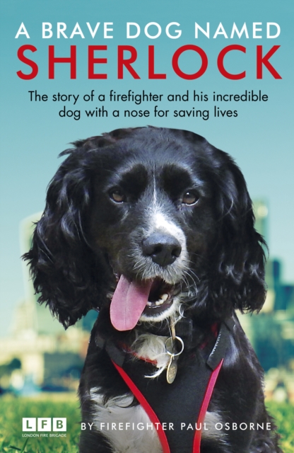 A Brave Dog Named Sherlock, Paperback / softback Book
