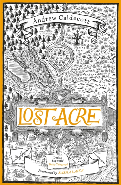Lost Acre : Rotherweird Book III, Hardback Book