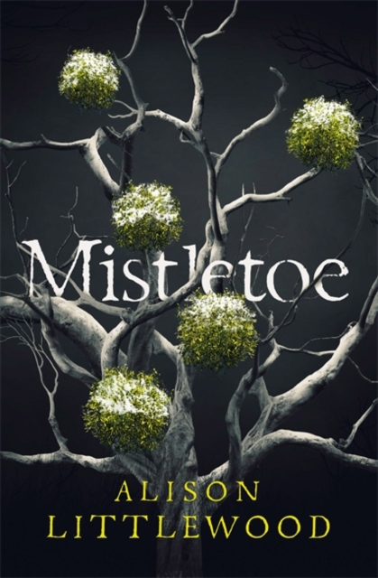 Mistletoe : 'The perfect read for frosty nights' HEAT, Hardback Book