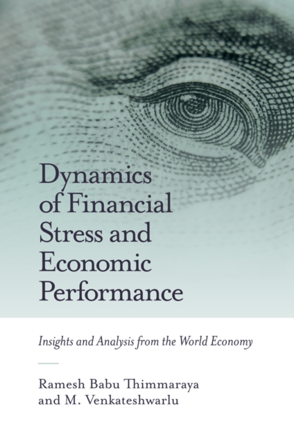 Dynamics of Financial Stress and Economic Performance : Insights and Analysis from the World Economy, EPUB eBook