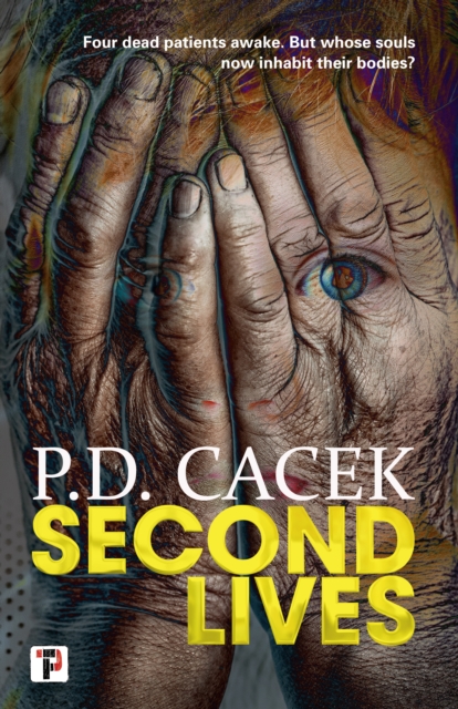 Second Lives, EPUB eBook