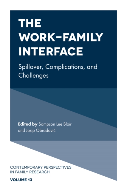 The Work-Family Interface : Spillover, Complications, and Challenges, Hardback Book