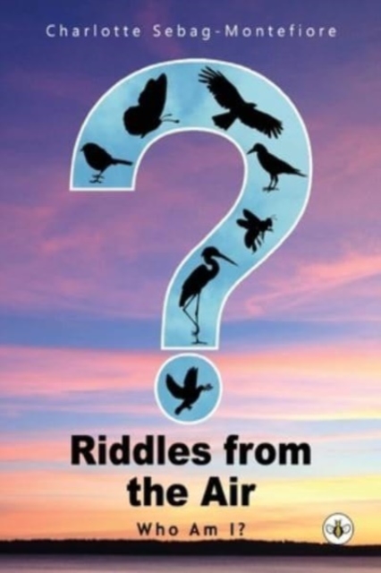 Riddles from the Air, Paperback / softback Book