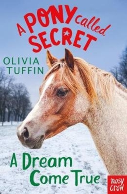 A Pony Called Secret: A Dream Come True, Paperback / softback Book