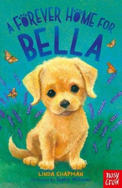 A Forever Home for Bella, Paperback / softback Book
