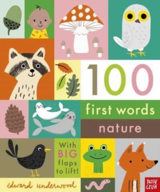 100 First Words: Nature, Board book Book