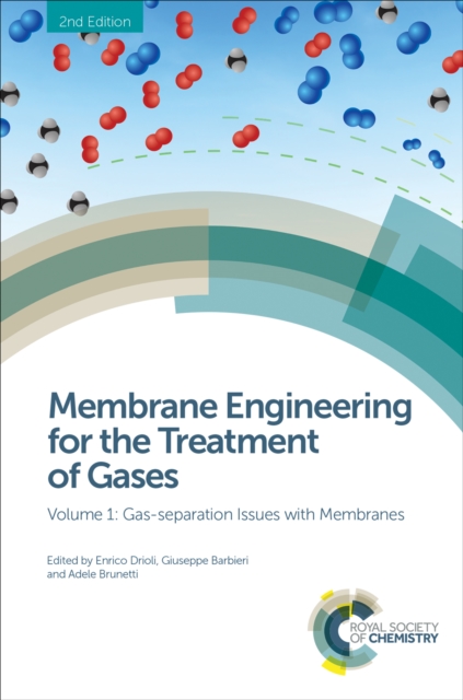 Membrane Engineering for the Treatment of Gases : Volume 1: Gas-separation Issues with Membranes, EPUB eBook