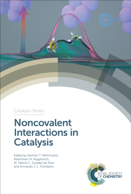Noncovalent Interactions in Catalysis, EPUB eBook