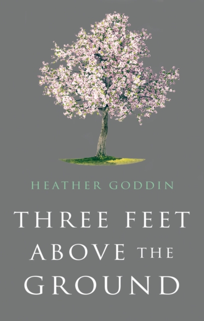 Three Feet Above the Ground, Paperback / softback Book