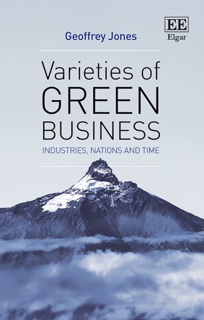 Varieties of Green Business : Industries, Nations and Time, PDF eBook