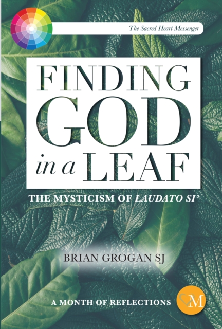 Finding God in a Leaf : The Mysticism of Laudato Si', EPUB eBook