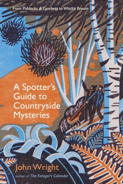 A Spotter's Guide to Countryside Mysteries : From Piddocks and Lynchets to Witch's Broom, Hardback Book