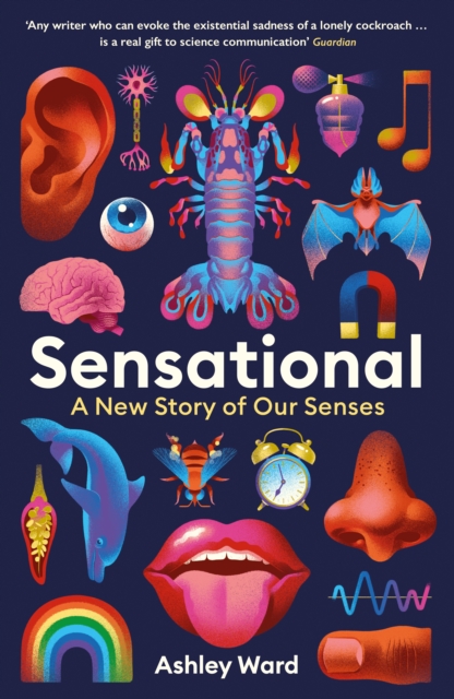 Sensational : A New Story of our Senses, Paperback / softback Book