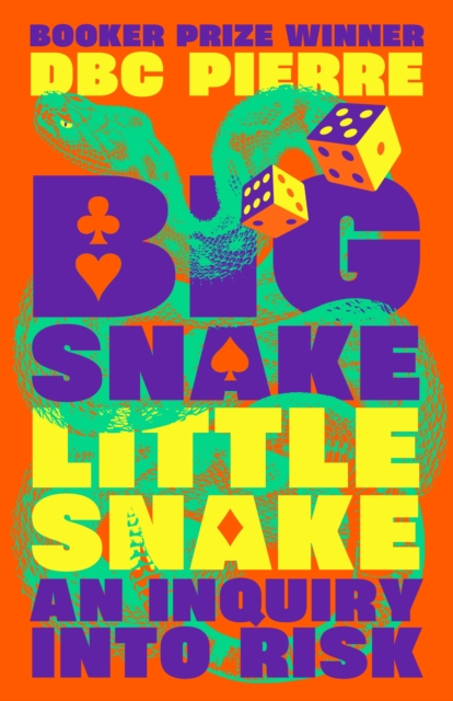 Big Snake Little Snake : An Inquiry into Risk, Hardback Book