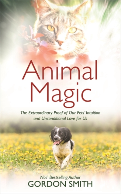 Animal Magic : The Extraordinary Proof of Our Pets’ Intuition and Unconditional Love for Us, Paperback / softback Book