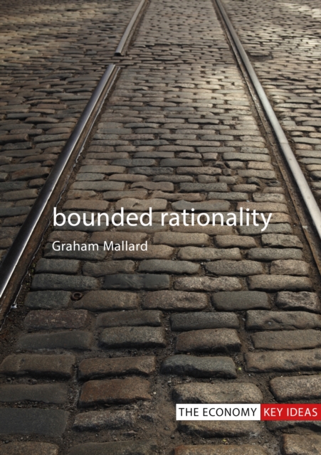 Bounded Rationality, PDF eBook
