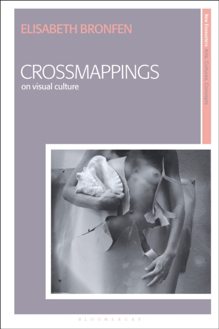 Crossmappings : On Visual Culture, Hardback Book